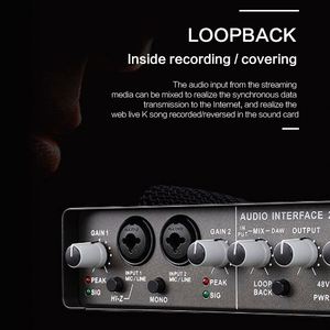 External <strong>USB</strong> Sound <strong>Cards</strong>, <strong>USB</strong> Audio Interface Solo Studio for Podcast Recording 96KHz 24bit Interface De Audio <strong>Usb</strong> Soundcard - Product Image 3