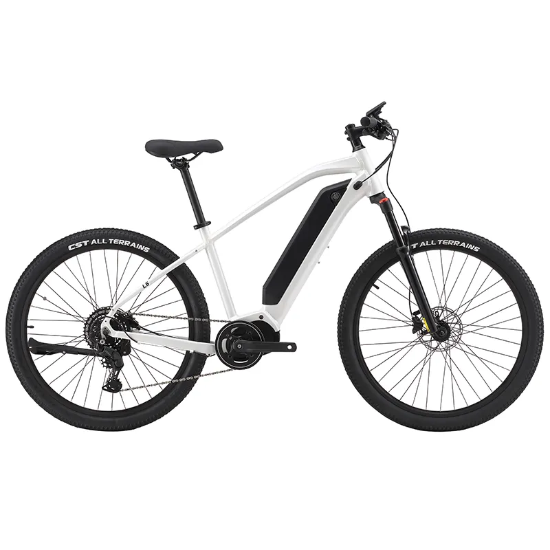 Bicyclette électrique entrepôt de l'UE 250W Bicicleta Electrica moteur à entraînement moyen 9 vitesses frein à disque hydraulique VTT électrique Ebike