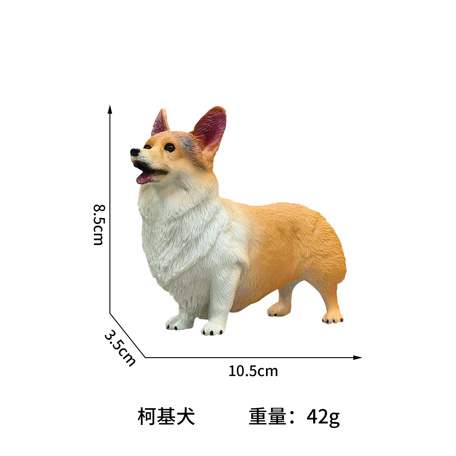 Corgi gallois