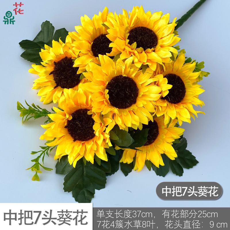 Tournesols XZG à 7 têtes expédiés séparément