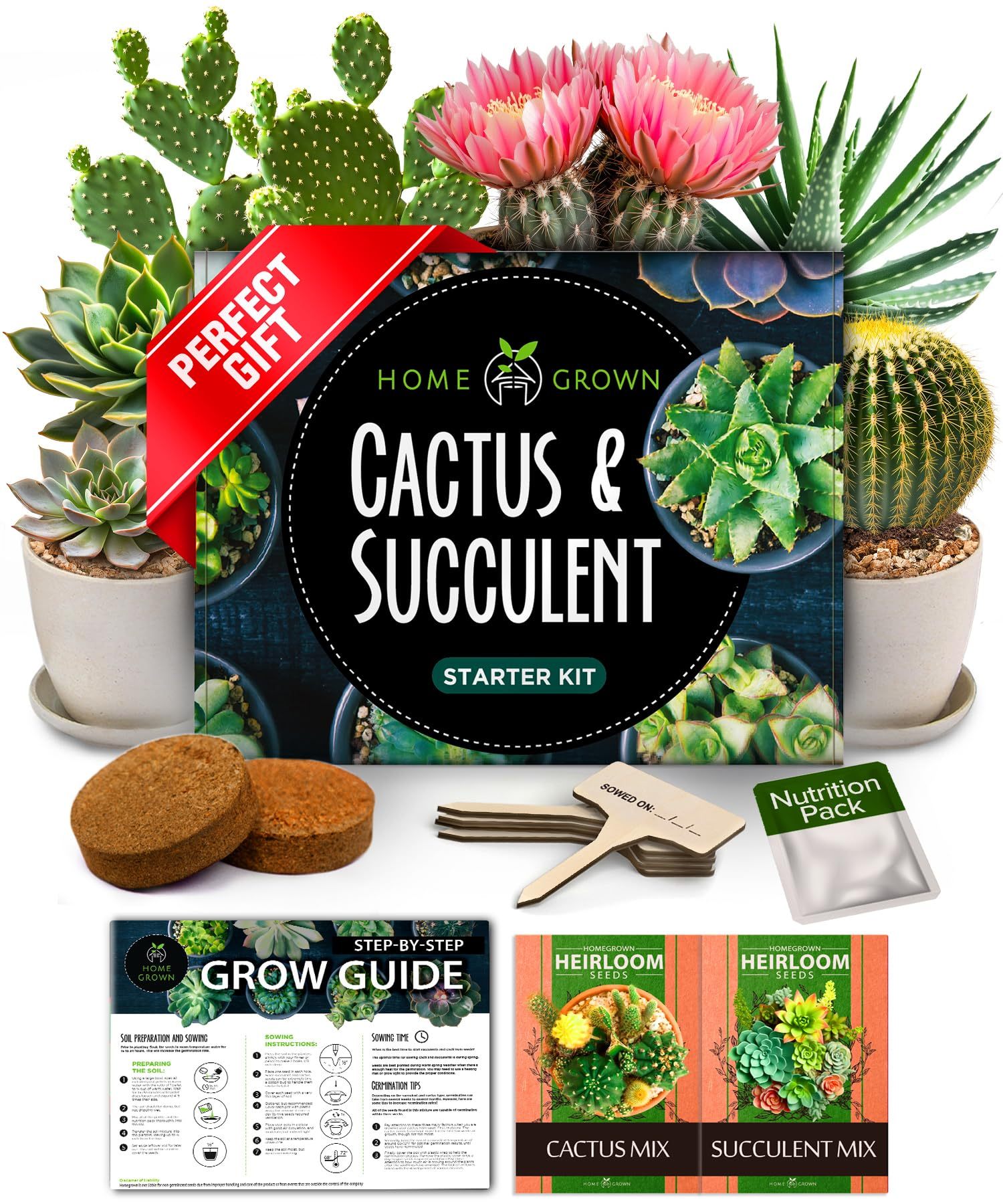 Succulent & Cactus Kit