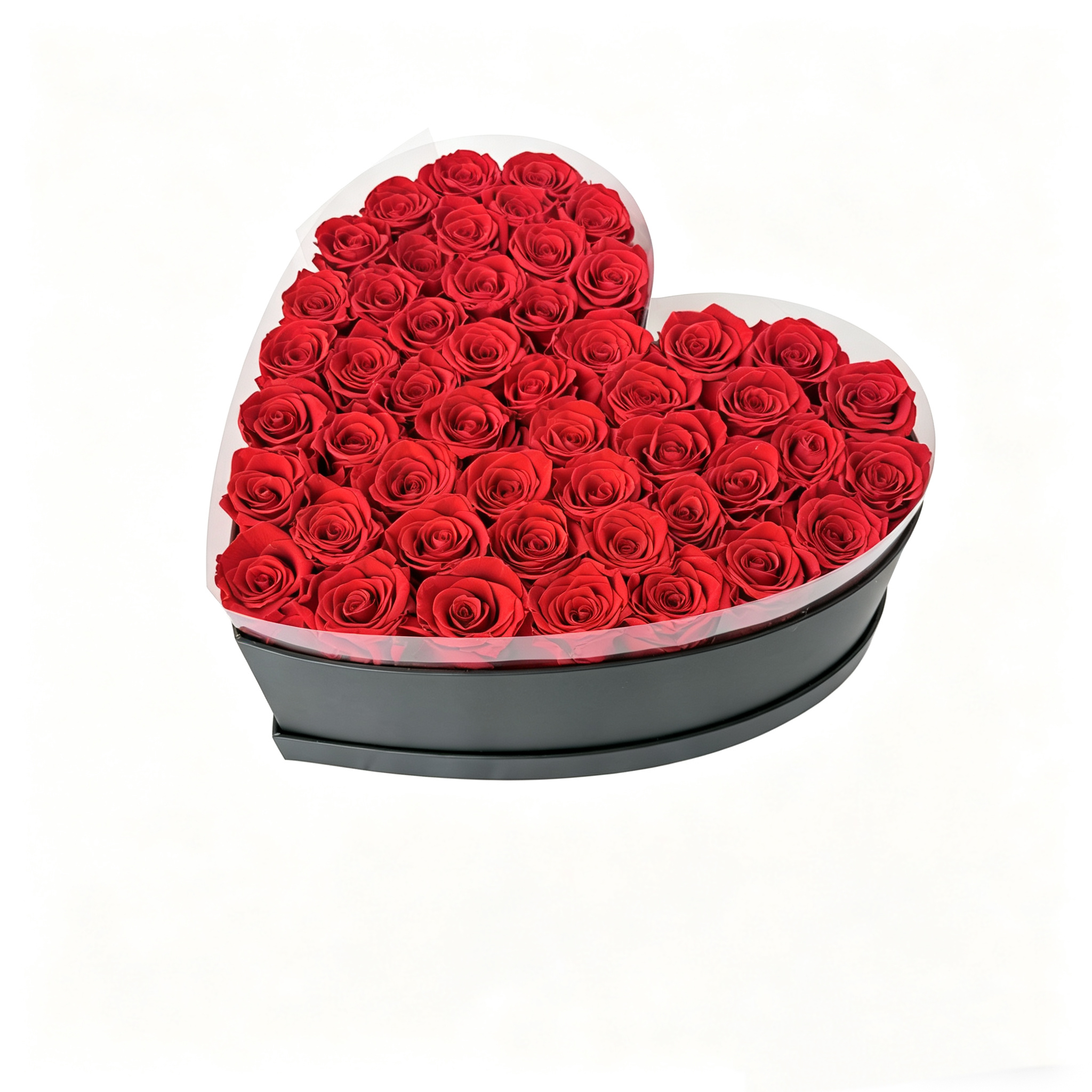 Red 50 rose