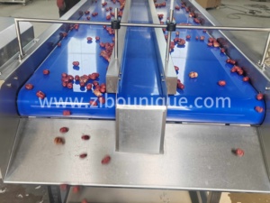 棕榈枣加工线洗涤选择线机出厂价格