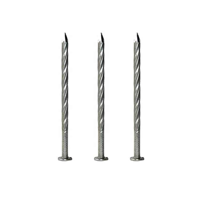 Reasonable Price Stainless Steel Ring Shank Nails Factory