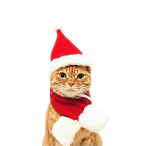 Hot Pet Weihnachts dekoration Lustiger Hund Weihnachts mütze Weihnachts mütze und Schal Weihnachts mütze Häkeln Katzen mütze Weihnachten - Product Image 6