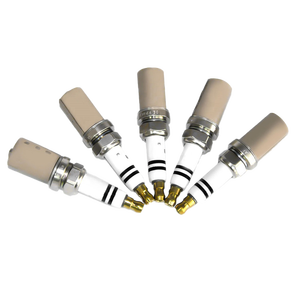 High Repurchase Rate Long Lasting <strong>Spark</strong> <strong>Plug</strong> - Product Image 5