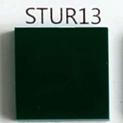 STUR13