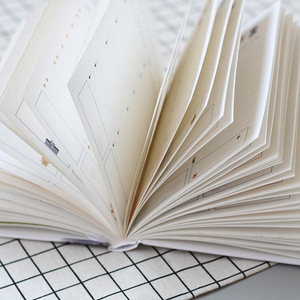 LABON 365 Planner Agenda Notebook colorato pagina interna illustrazione piano giornaliero annuale diario personalizzato Record vita regali di cancelleria - Product Image 4