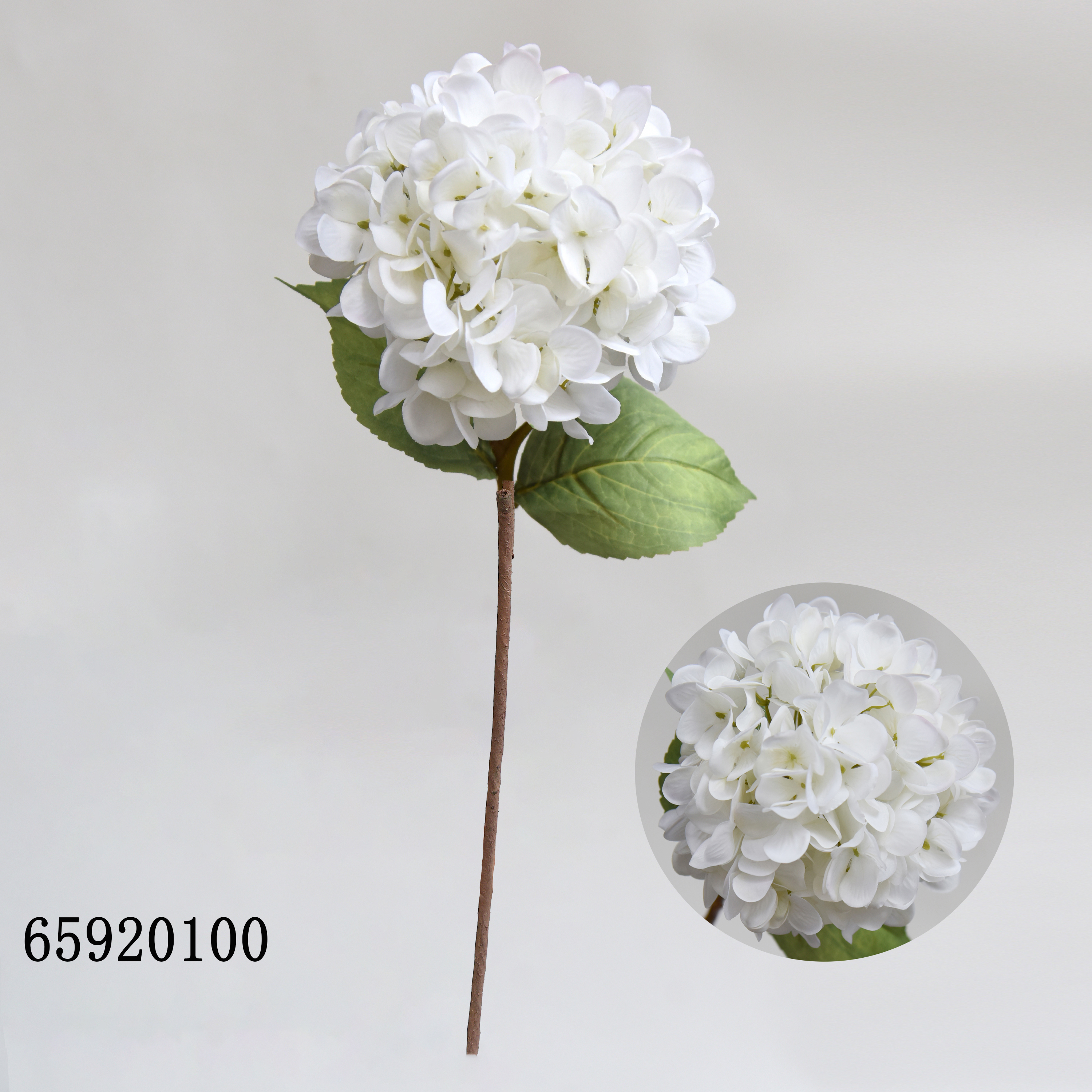 Blanc00