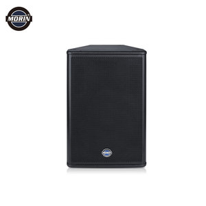 Lanzamiento de nuevo producto, juego de altavoces individuales de 15 pulgadas con amplificador, Sistema de música, sistema de altavoces pa activo