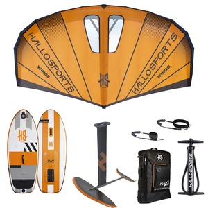 Hallosports W011 fabrika özelleştirilmiş şişme kanat folyo folyo kanat - Product Image 3