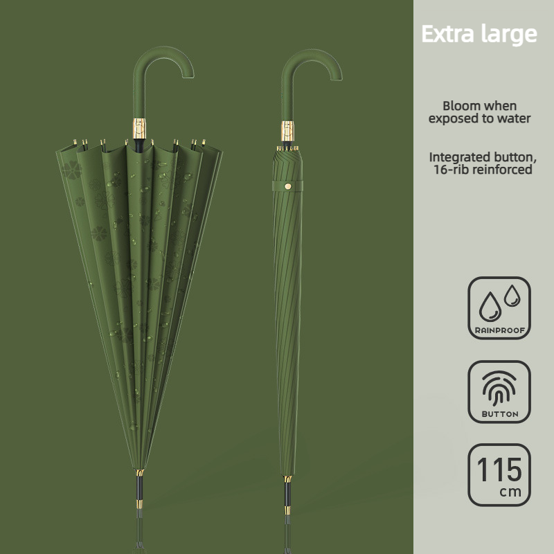 Extra Large Olive Green