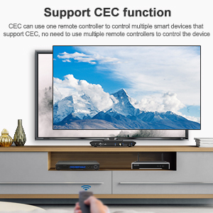 TESmart-Divisor HDMI 4K 2X4, 2 entradas y 4 salidas, conmutador de vídeo para TV, DVD, PS4, compatible con UHD EDID, HDCP 1,4, 4K, 30HZ