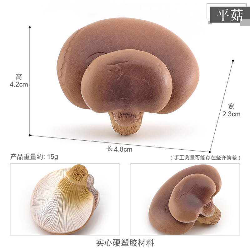 PL127-2139 Pleurotus ostreatus 15g