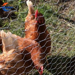 Giá rẻ mạ kẽm lục giác dây lưới gà lục giác dây lưới lưới Thỏ dây lưới gia cầm lưới - Product Image 5