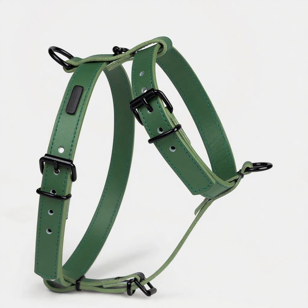 Green with black accessories