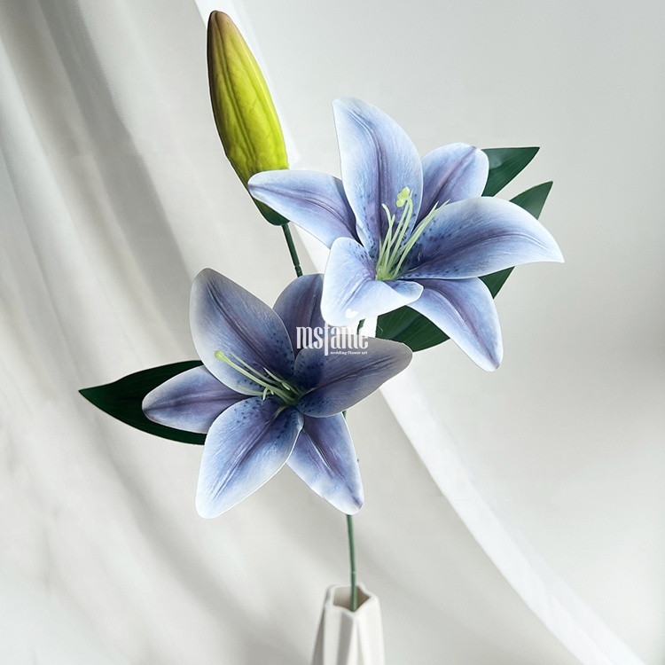 Bleu