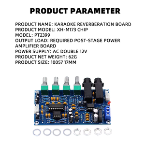 XH-M173 PT2399 Tonplatine Neueste Halleffekt-Karaoke OK Reverb-Verstärker Digitales Mikrofon-Verstärkerboard - Product Image 2