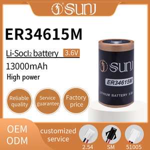 Er34615m 3.6V 13000mAh batterie primarie al litio Li-SOCL2 tipo di batteria d - Product Image 3