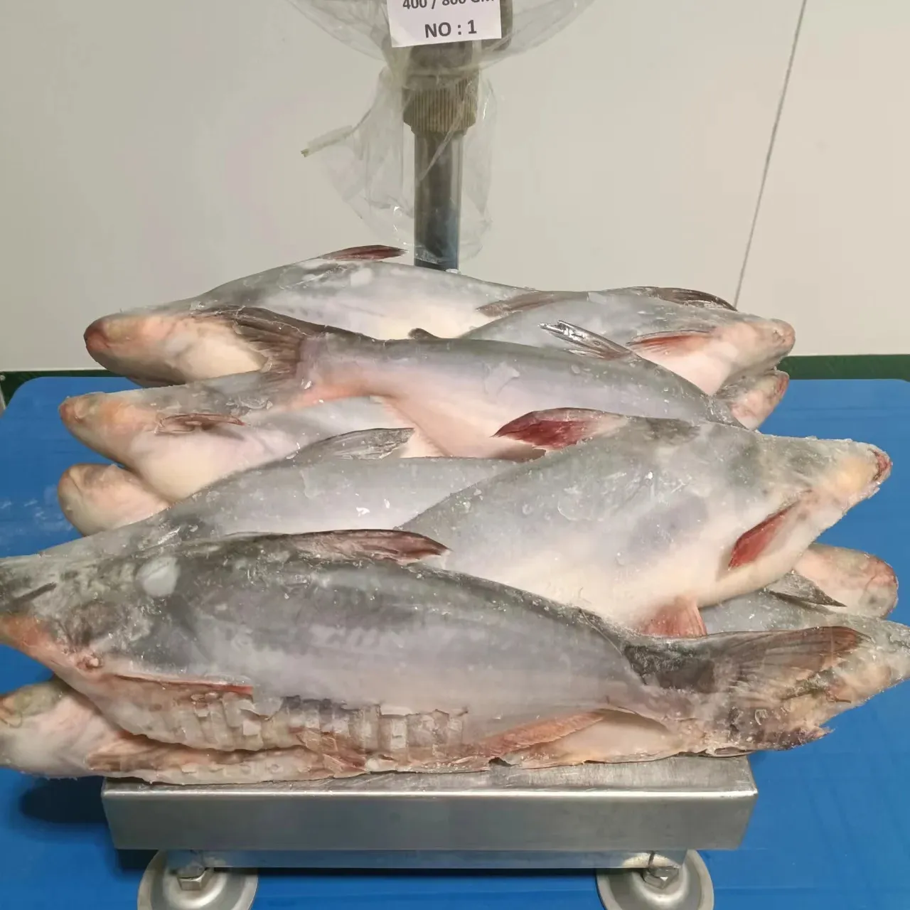 Exportação padrão peixe basa vietnamita congelado pangasius do Mekong peixe inteiro peixe congelado malasia basa de alta qualidade