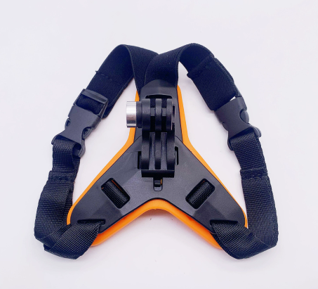 Orange Buckle Version