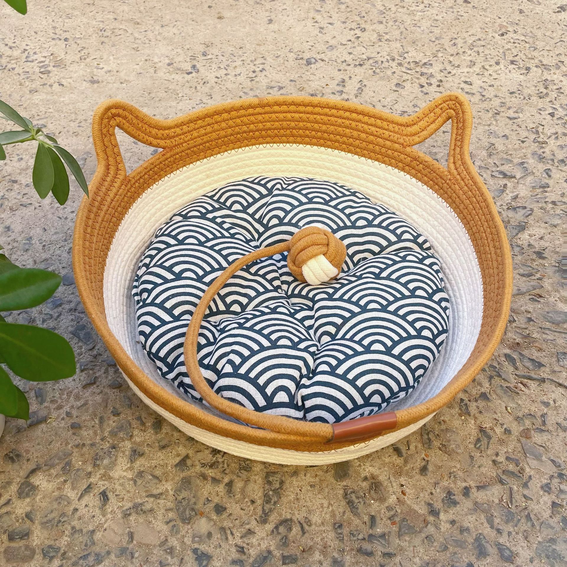 Nid de chat blanc + tapis bleu