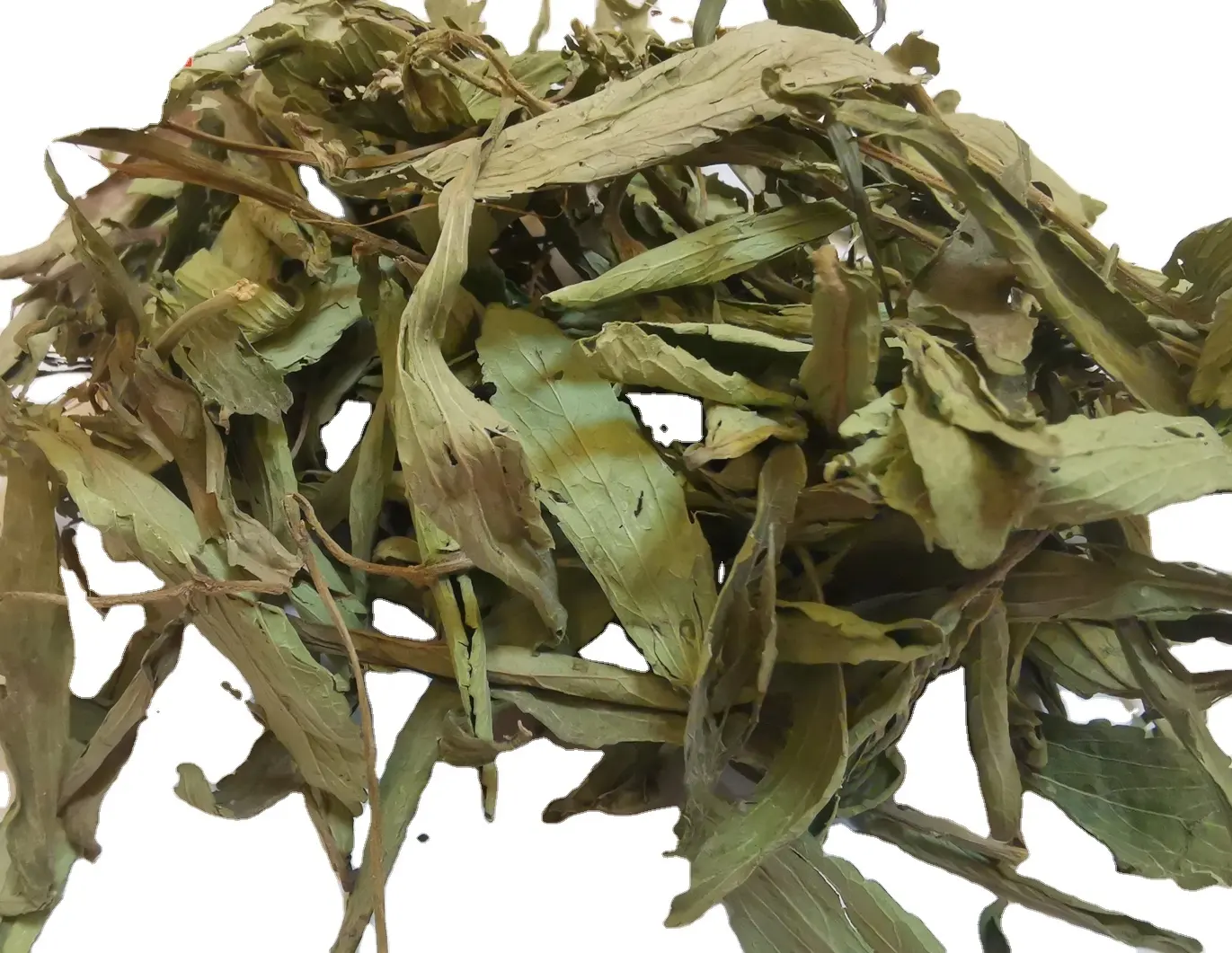 Kaiyange bán buôn chi phí-hiệu quả khô Stevia rebaudian lá OEM túi trà chiết xuất bột Trà thảo dược bao bì tư nhân và túi trà