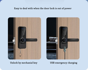 セキュリティ電気ハンドル指紋パスワードICカードTuyaWifiリモートコントロールロックキーTTLOCKスマートドアロック - Product Image 5