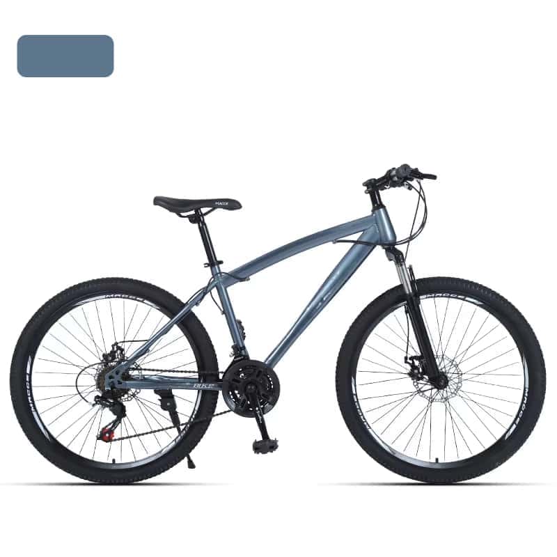 Roues à rayons gris