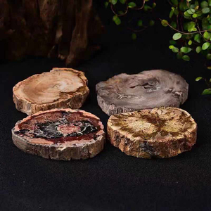 批发天然木材化石切片抛光木质石化化石片用于家居装饰