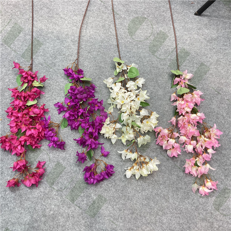Pourpre