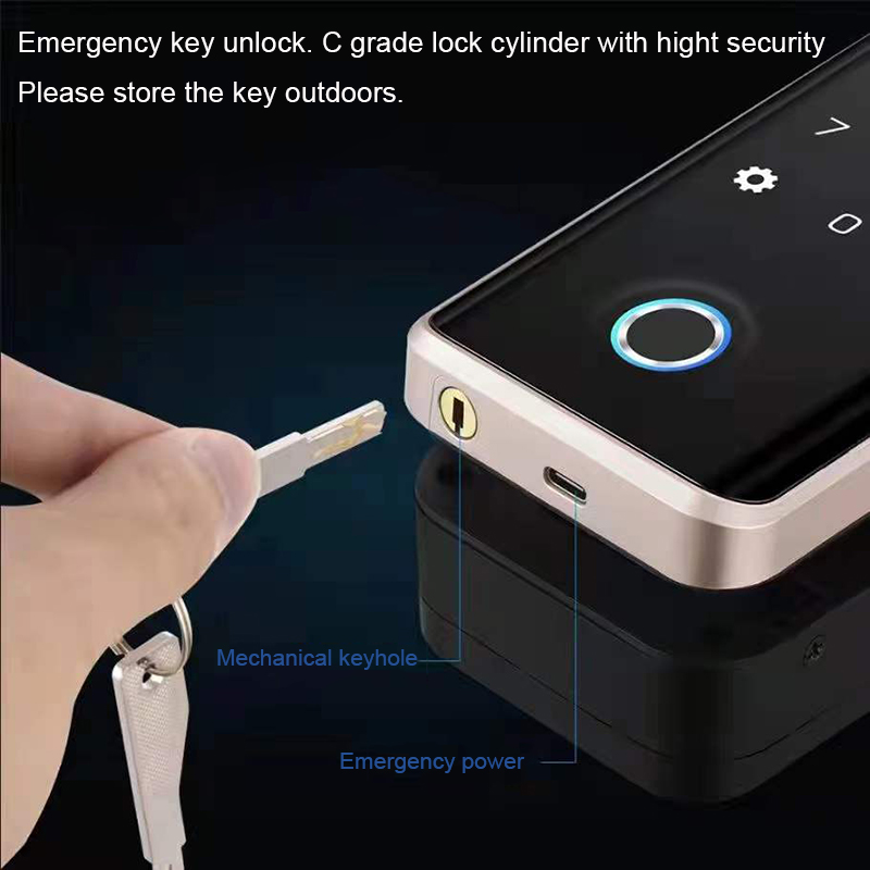 Competitive Price G5S 3D Face Recognition Glass Door Lock Biometric Passcode Fingerprint Smart Glass Door Lock