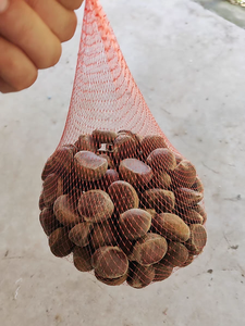 HDP EPE Protective Mesh Sleeve <strong>Net</strong> Bag PE PP Extruded <strong>Soft</strong> <strong>Plastic</strong> Roll Format for Fruit Vegetables Eggs Food Industrial Use - Product Image 3