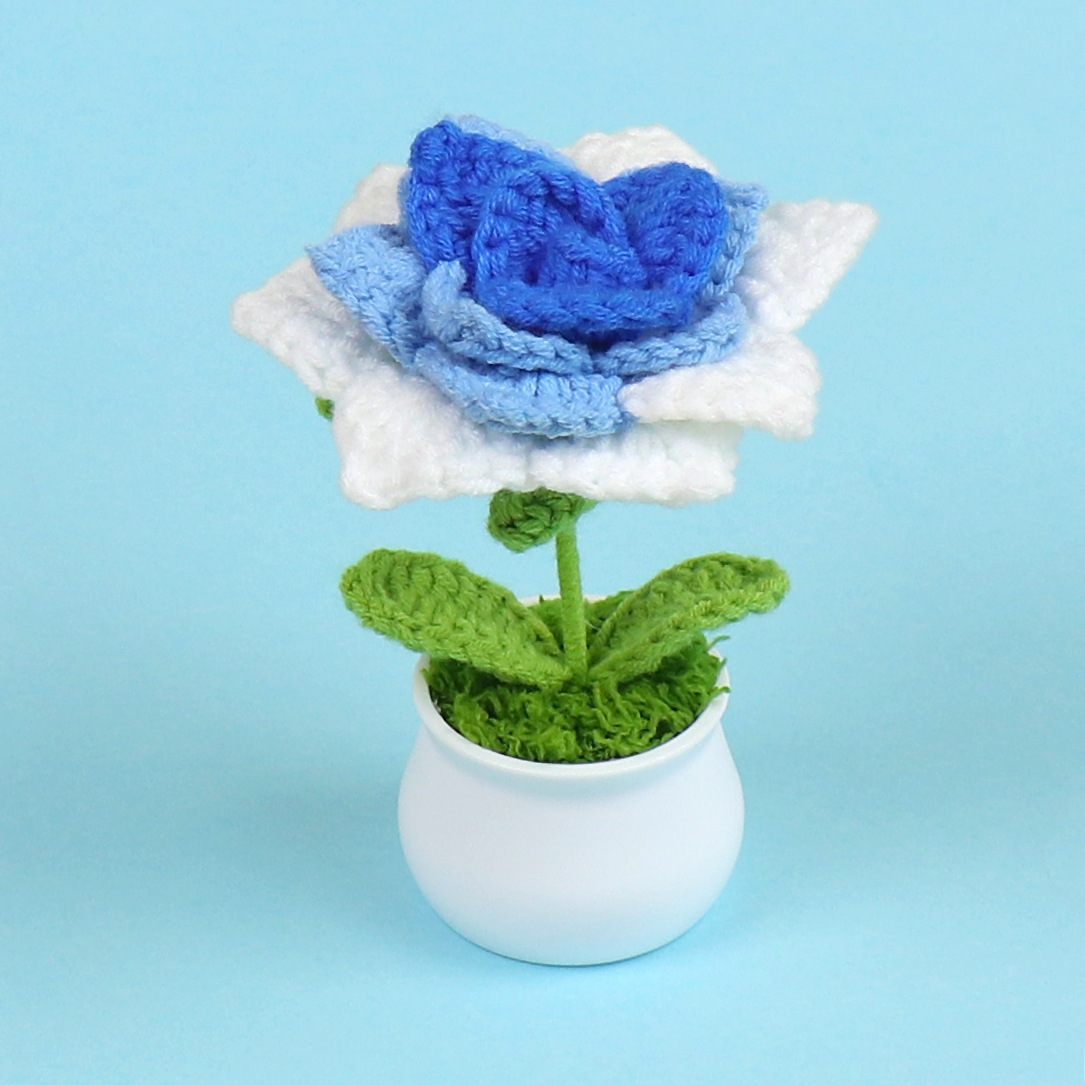 Planta en maceta de rosa azul con degradado puntiagudo.