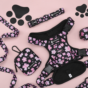 Ensemble de harnais pour chien personnalisé sans traction collier rembourré souple pour animaux de compagnie laisse et harnais pour chien de qualité supérieure porte-sac à crottes pour chien fournitures pour animaux de compagnie - Product Image 2