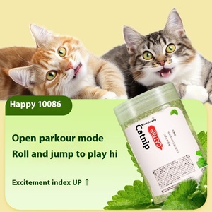 Bola de pelo en polvo de hierba gatera ecológica de 260Ml, hierba fina para gatos rellena de juguetes masticables para mascotas y aperitivos para limpieza bucal - Product Image 2