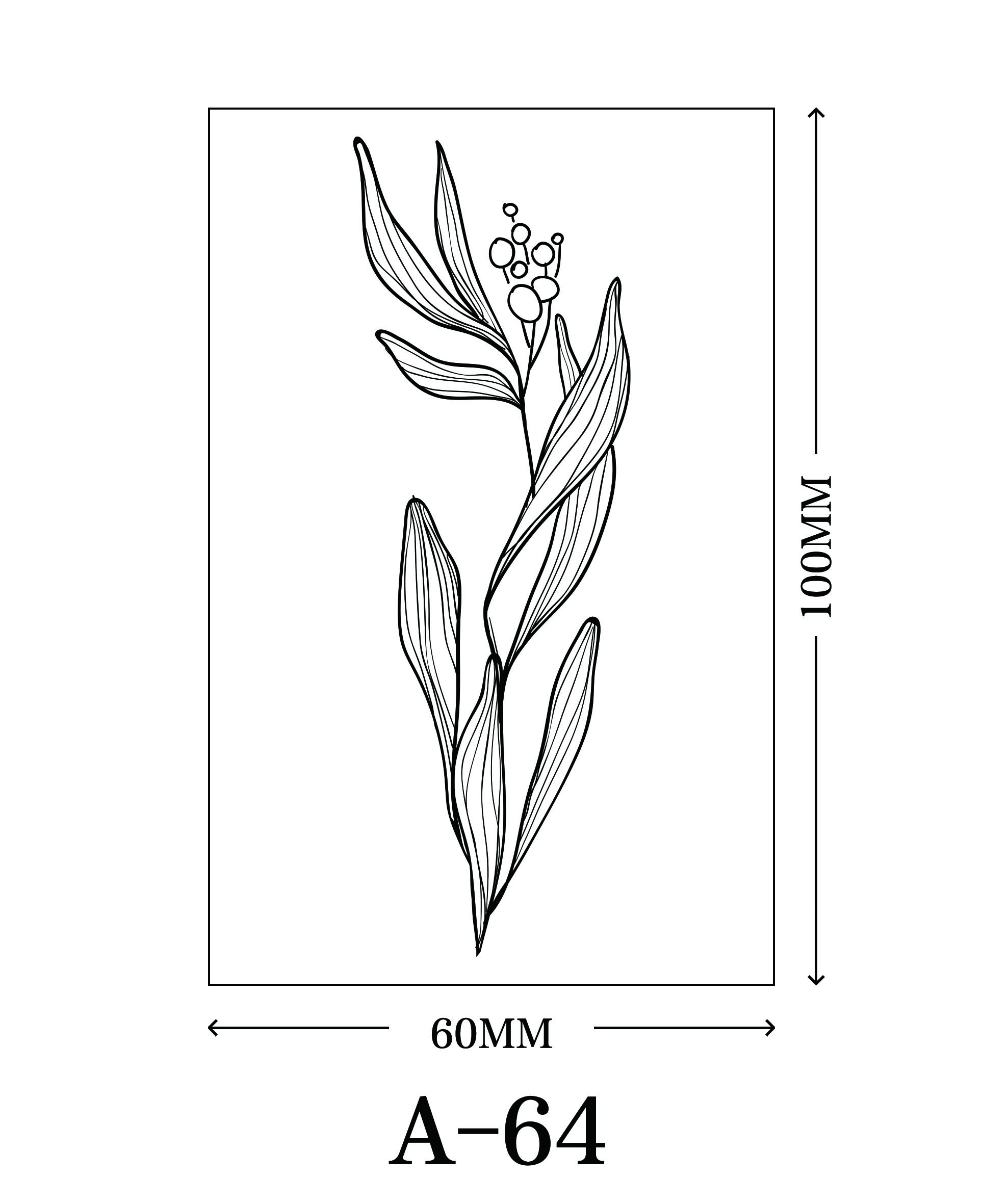 เอ-64