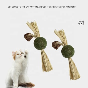 Chewing <strong>Catnip</strong> Toy for <strong>Cat</strong> - Product Image 2