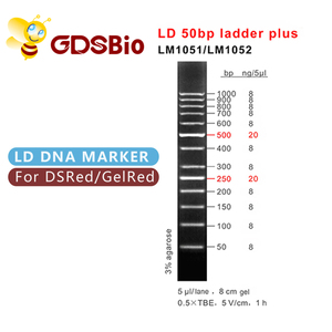 DNA elektroforez merdiven işaretleyici, OEM