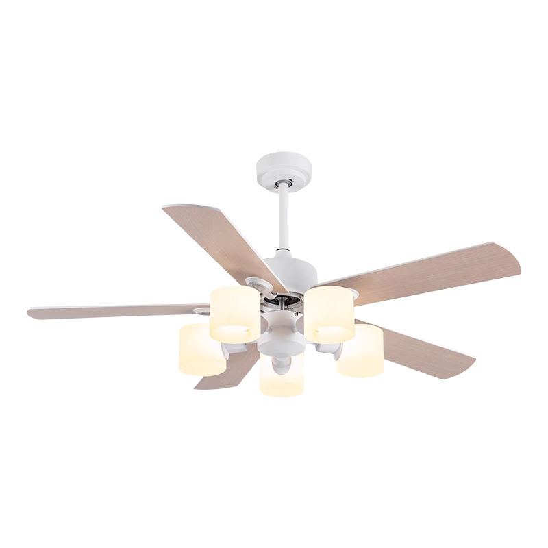 สีขาว + สีบันทึก