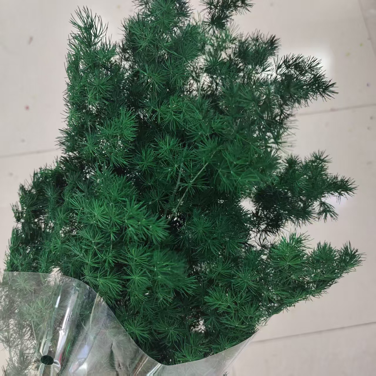 Dark green