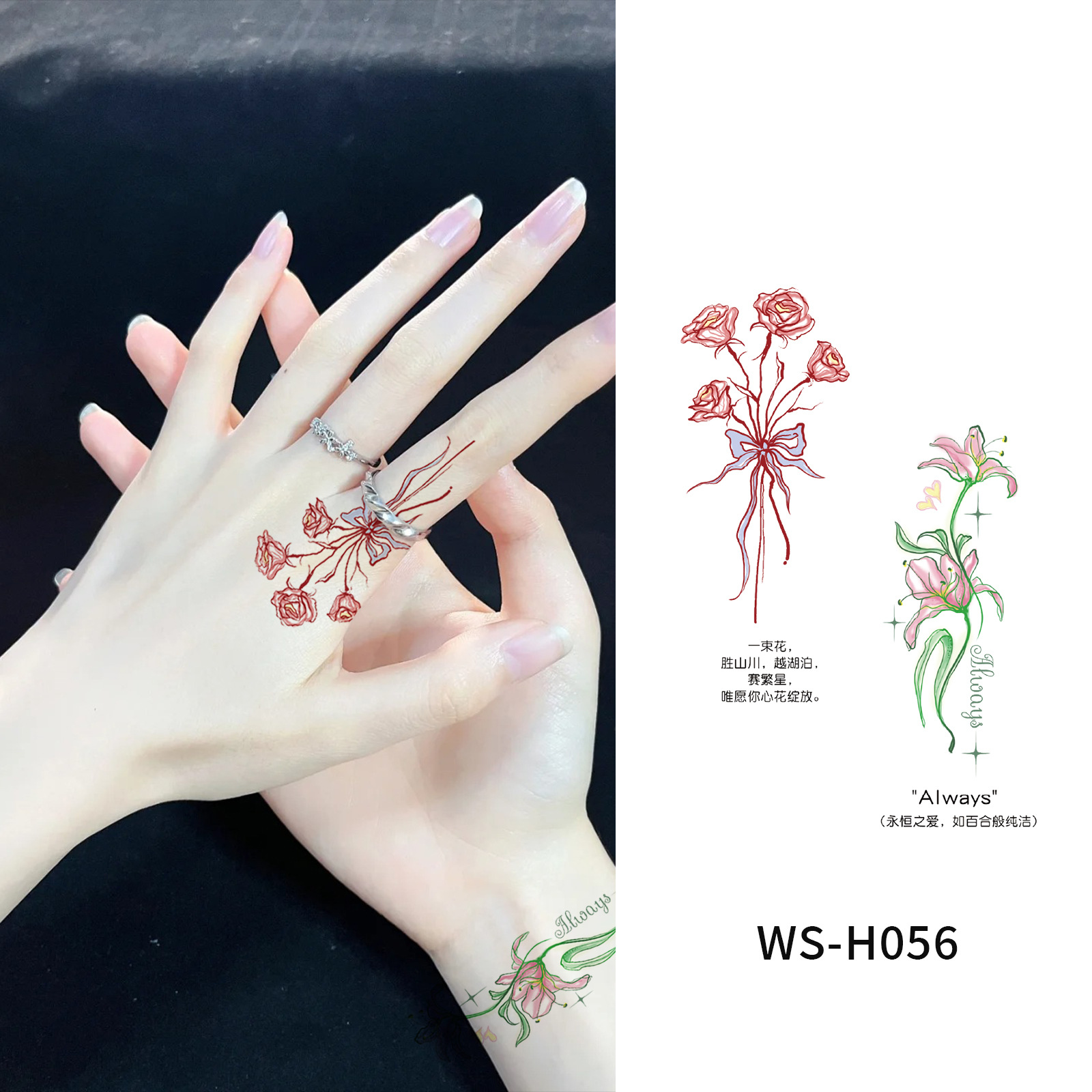 WS-H056