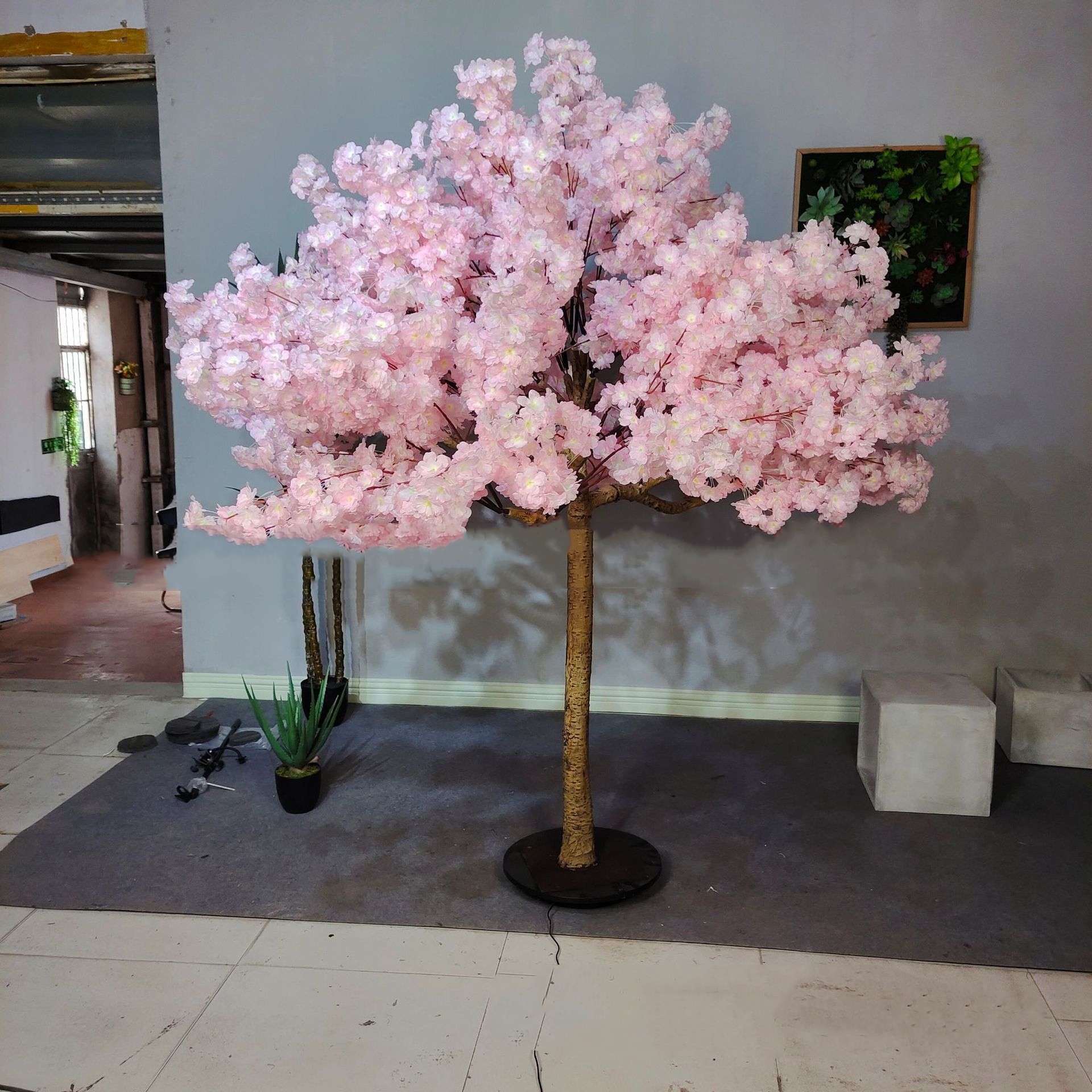 tree 1.5m