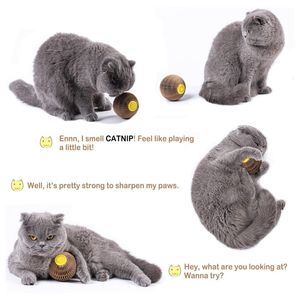 Wholesale Best Selling <strong>Cat</strong> Toy <strong>Catnip</strong> Refillable Scratcher Ball <strong>Catnip</strong> Ball Toy for <strong>Cats</strong> - Product Image 5