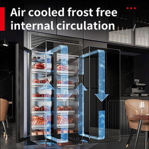 Sığır kuru yaşlanma buzdolabı fileto biftek et kuru Ager kabine FridgeGlobal limana ücretsiz kargo - Product Image 3