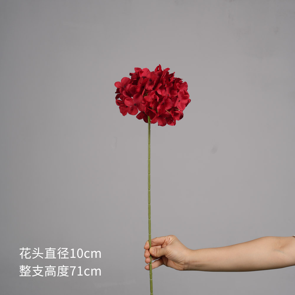 1 hortensia