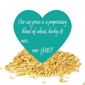 ชุดหญ้าแมวพร้อมกระถางไม้ผสม GMO-FREE และหญ้าอินทรีย์ที่ช่วยให้คุณรักษาแมวได้ - Product Image 5