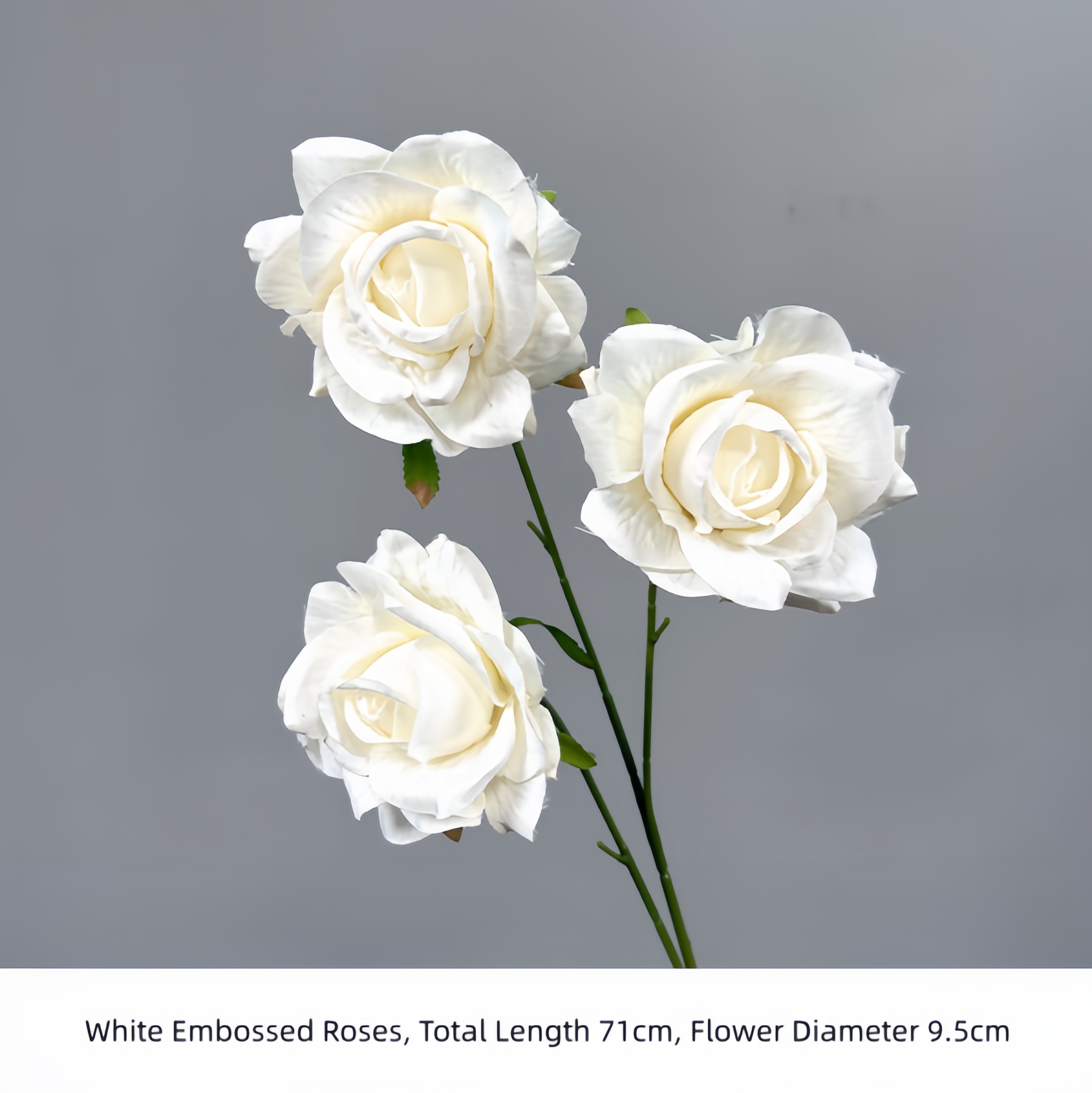 Roses blanches en relief