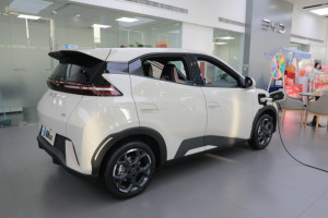 <strong>2025</strong> BYD Seagull Vitality Modern Auto New Energy Vehicle Intelligent Driving Features Left Steering Cruise Control Rear Camera - Product Image 2
