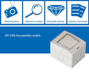SAIPWELL/SAIP Hot Sale 20A /250V Two Ways Electric Push Button Waterproof <strong>Switch</strong>(SP-2GS) - Product Image 5